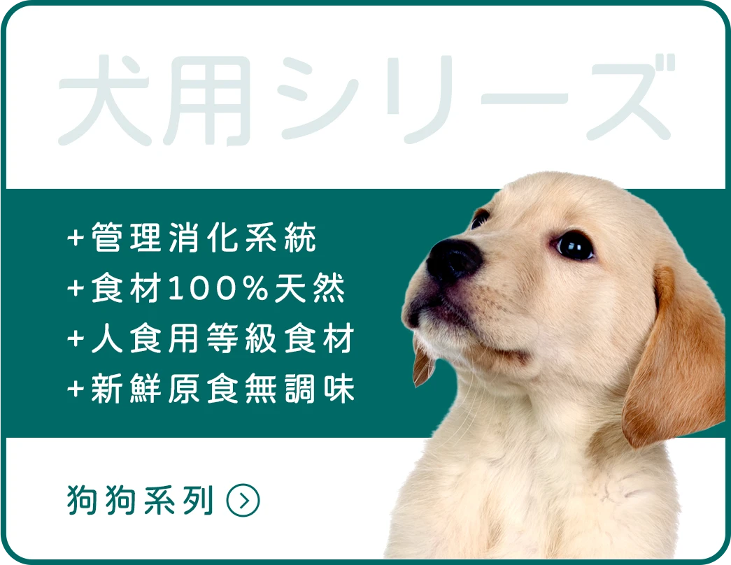 狗狗系列