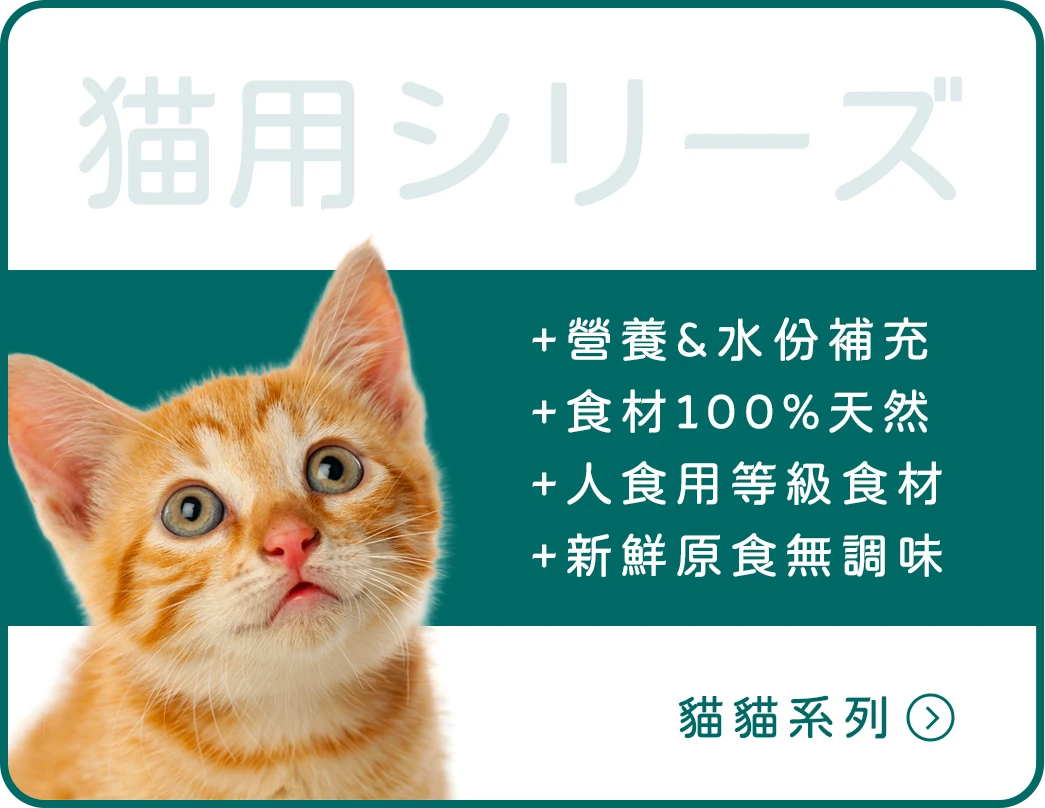 貓貓系列