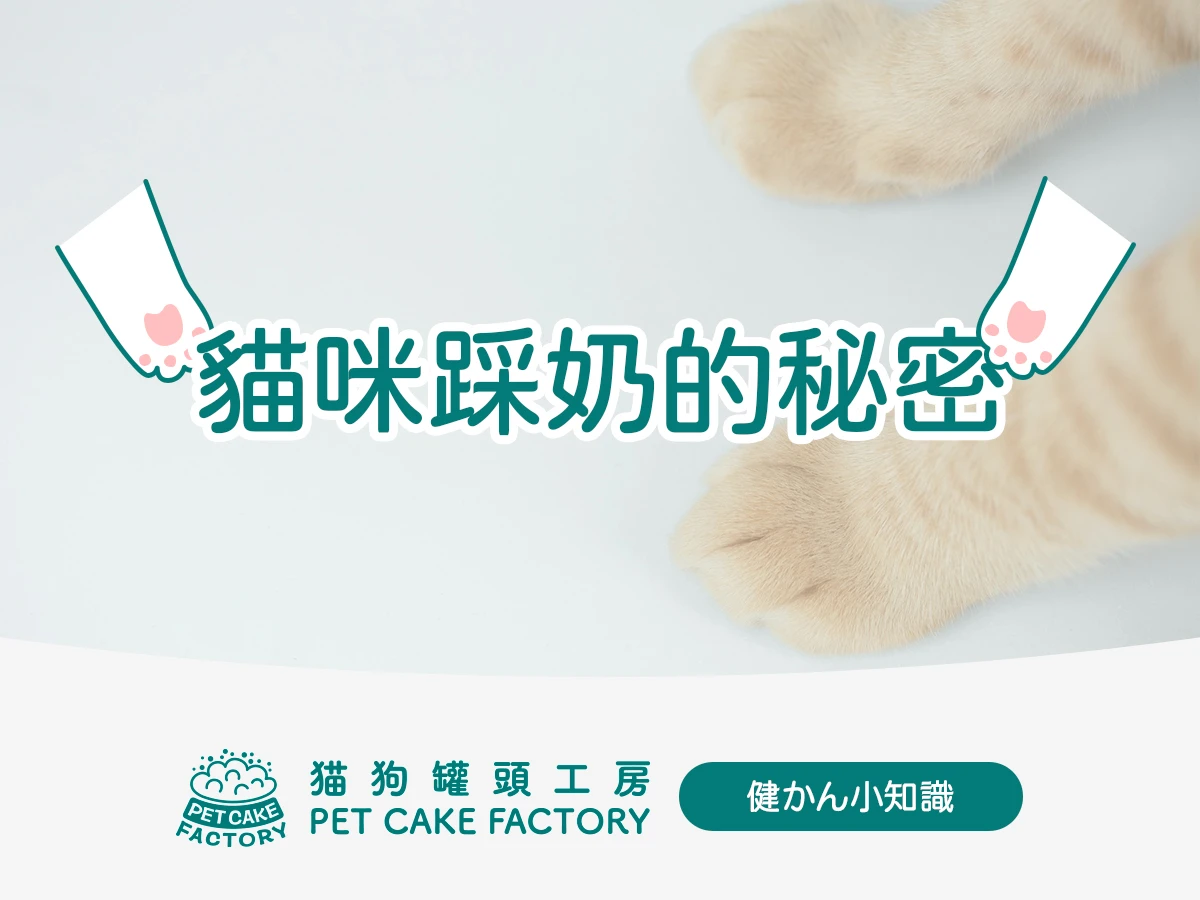 貓咪踩奶的秘密