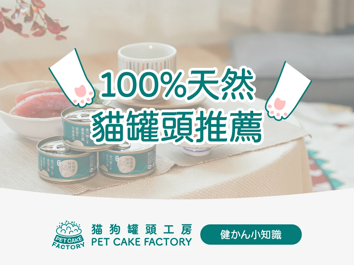 100%天然貓罐頭推薦｜讓毛孩品嚐最原本的質地和味道呈現