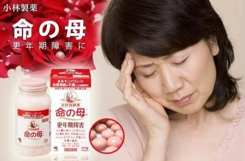 現貨 命の母 命之母更年期調節 840錠/420錠 瓶