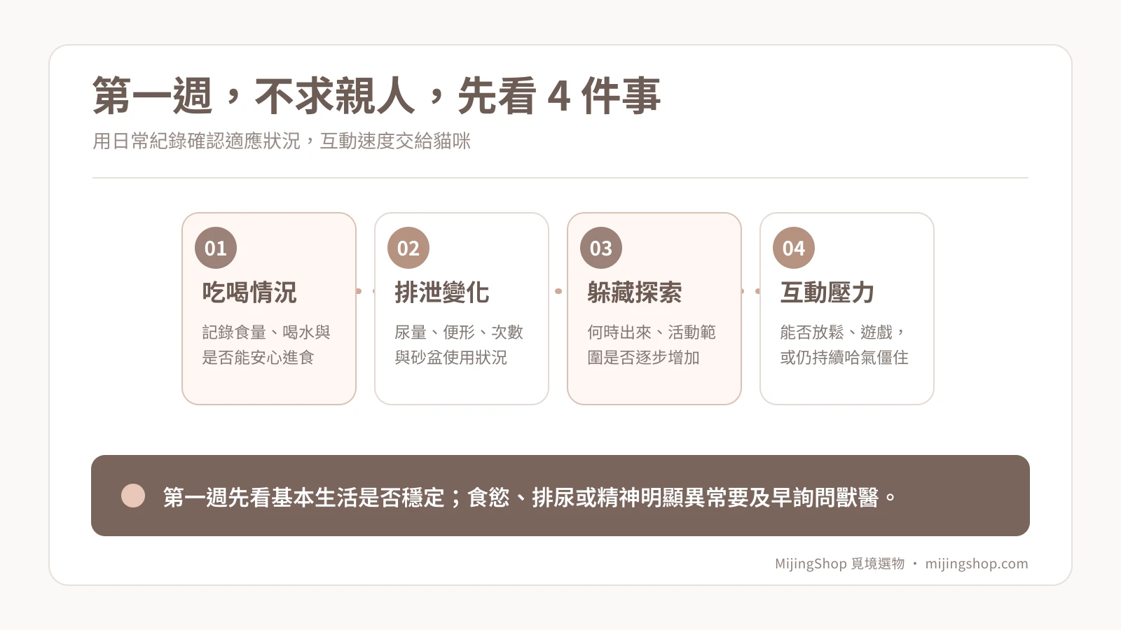 新貓到家第一週四項觀察：吃喝、排泄、躲藏探索、互動壓力