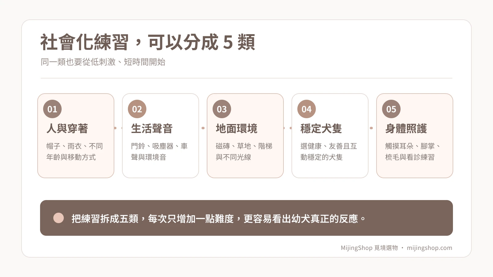 幼犬社會化五類練習：人與穿著、聲音、地面環境、穩定犬隻與身體照護
