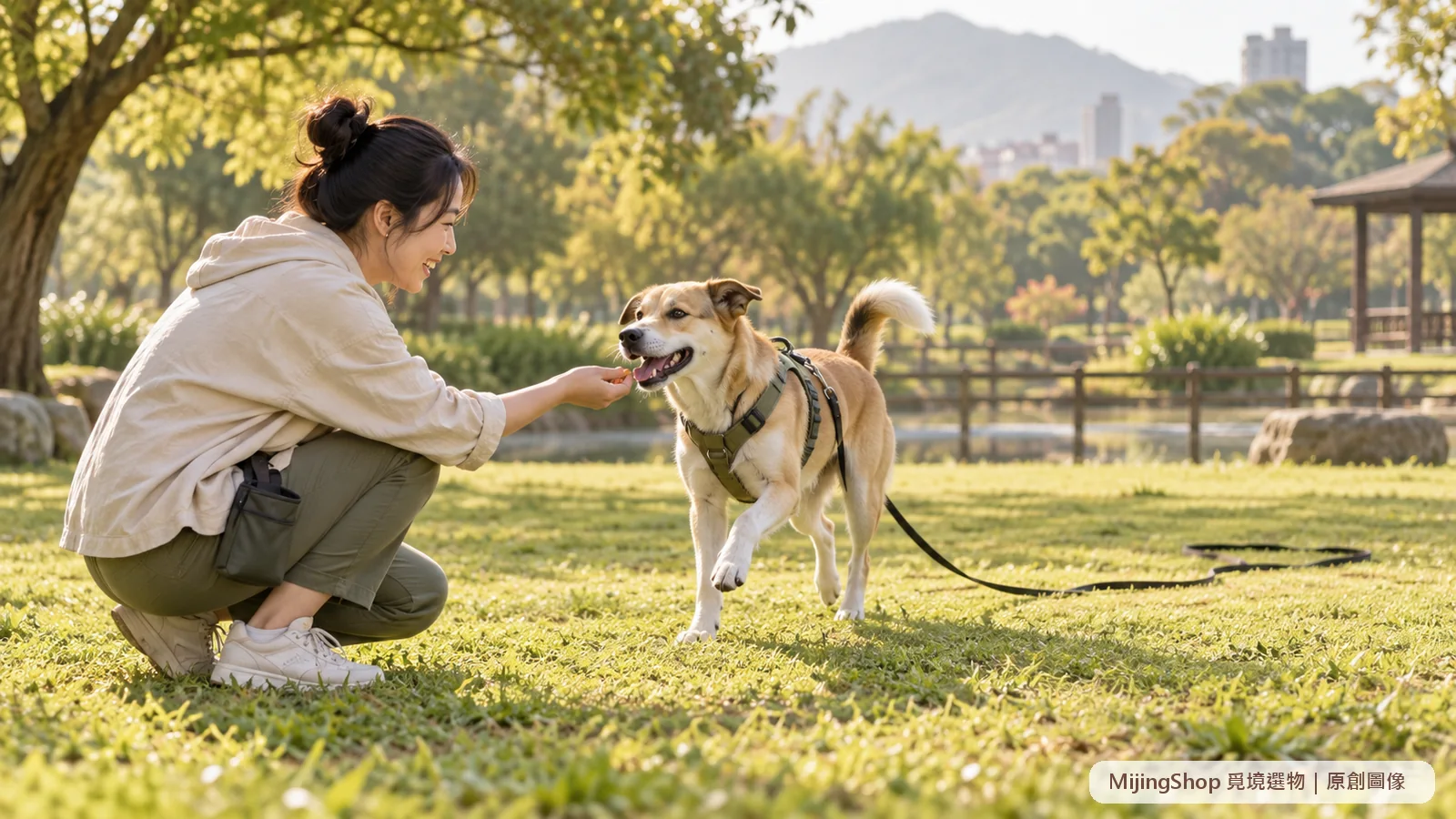 狗狗穿著合身胸背並拖著鬆弛長牽繩，開心回到公園裡蹲低獎勵的飼主身邊