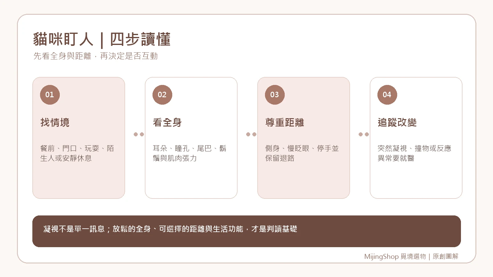 貓咪盯人的情境、全身訊號、距離尊重與健康追蹤四步驟圖