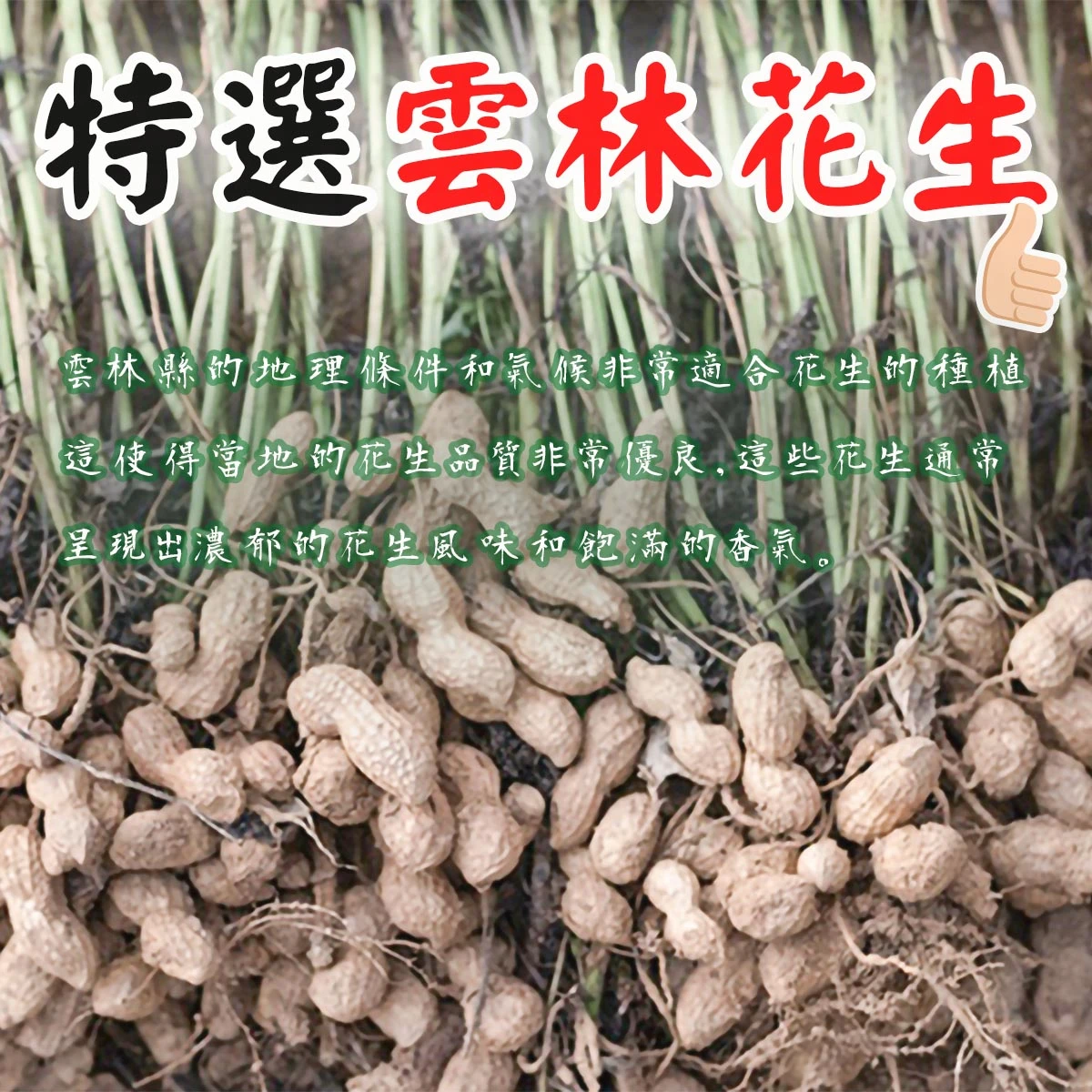 老宅手磨顆粒花生貢糖使用雲林在地花生，呈現花生原料樣貌