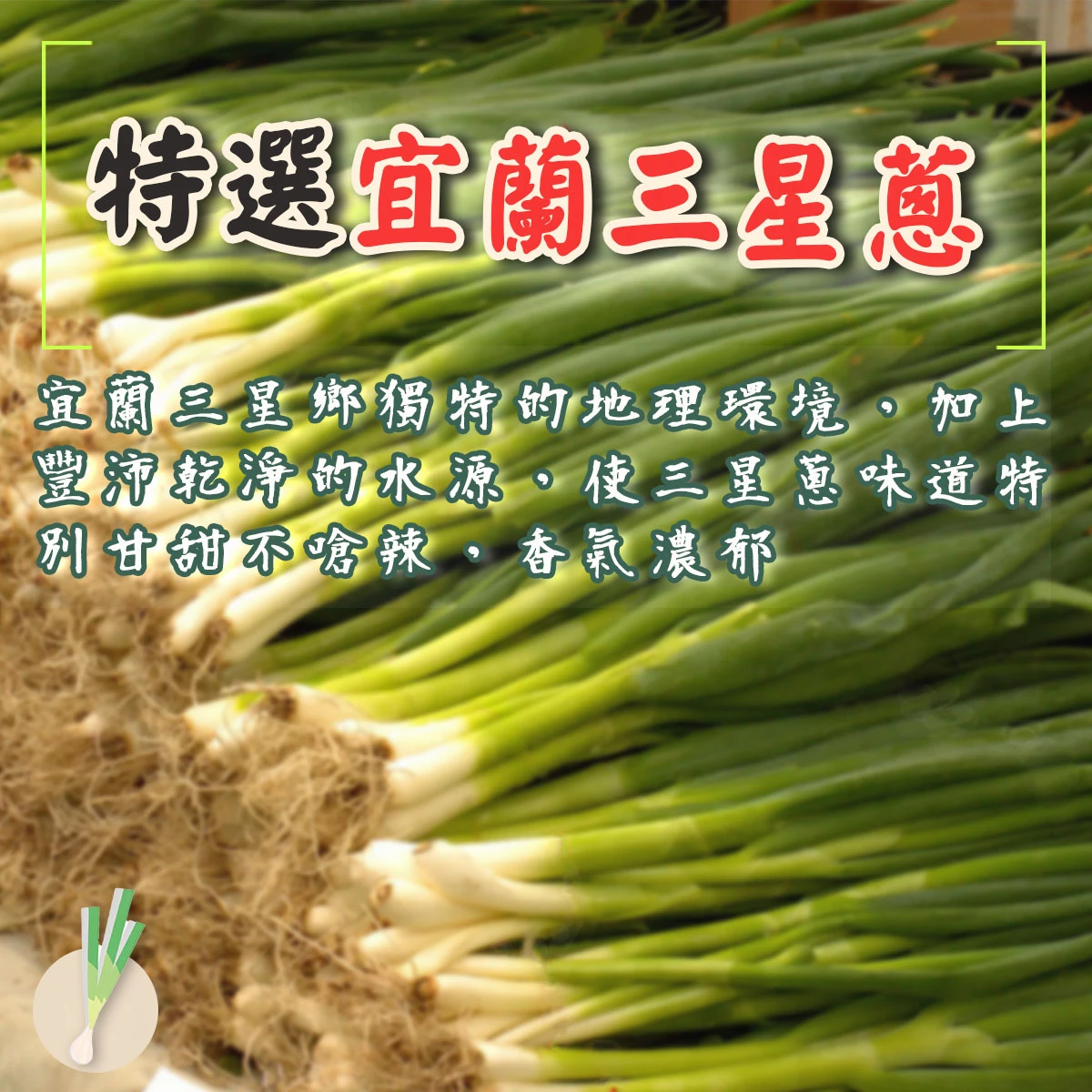 嚴選宜蘭三星蔥原料與老宅三星蔥酥包裝示意，強調使用在地三星蔥製作的台灣古早味零嘴