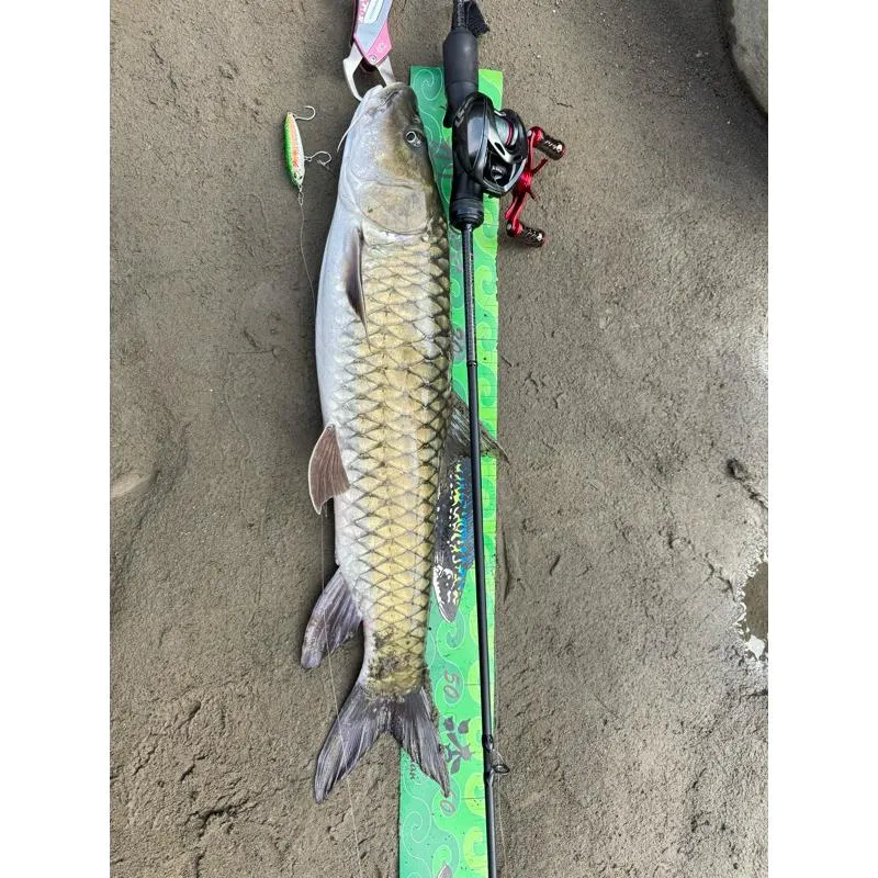 蜓川 浮水鉛筆 傀儡 遠投鎢鋼配重55mm/60mm