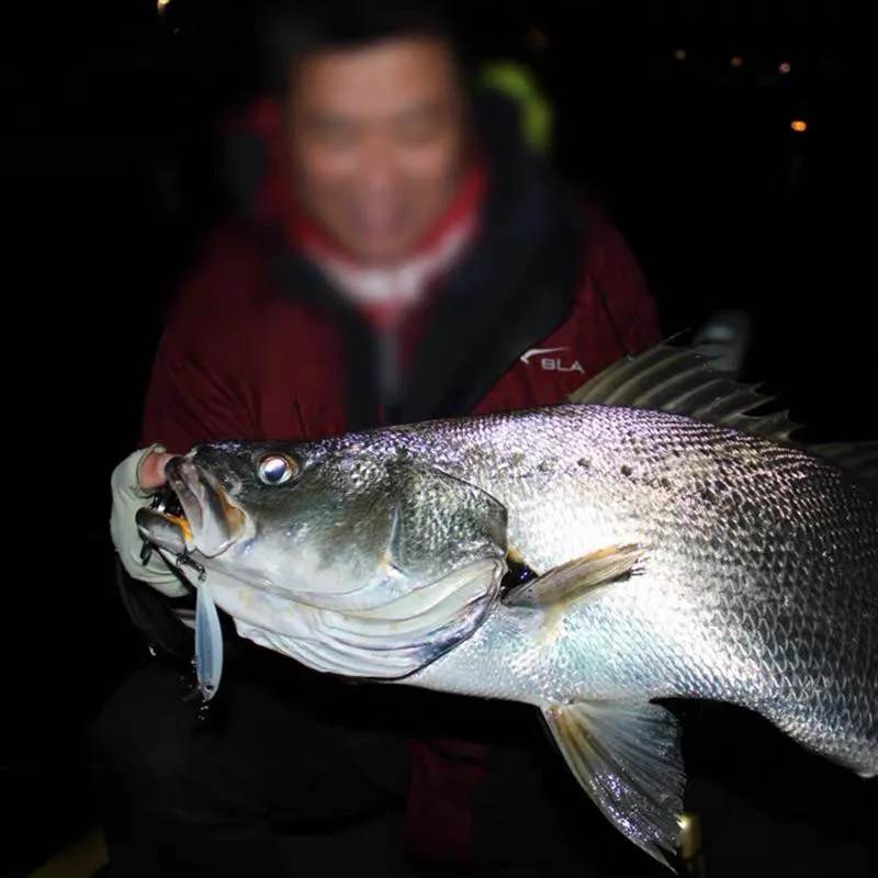 【馨馨路亞釣具】Rapala 樂伯樂 XRCD07 數秒遊俠 遠投 沉水 米諾 曲腰 BASS 路亞餌 泰國鱧 10g