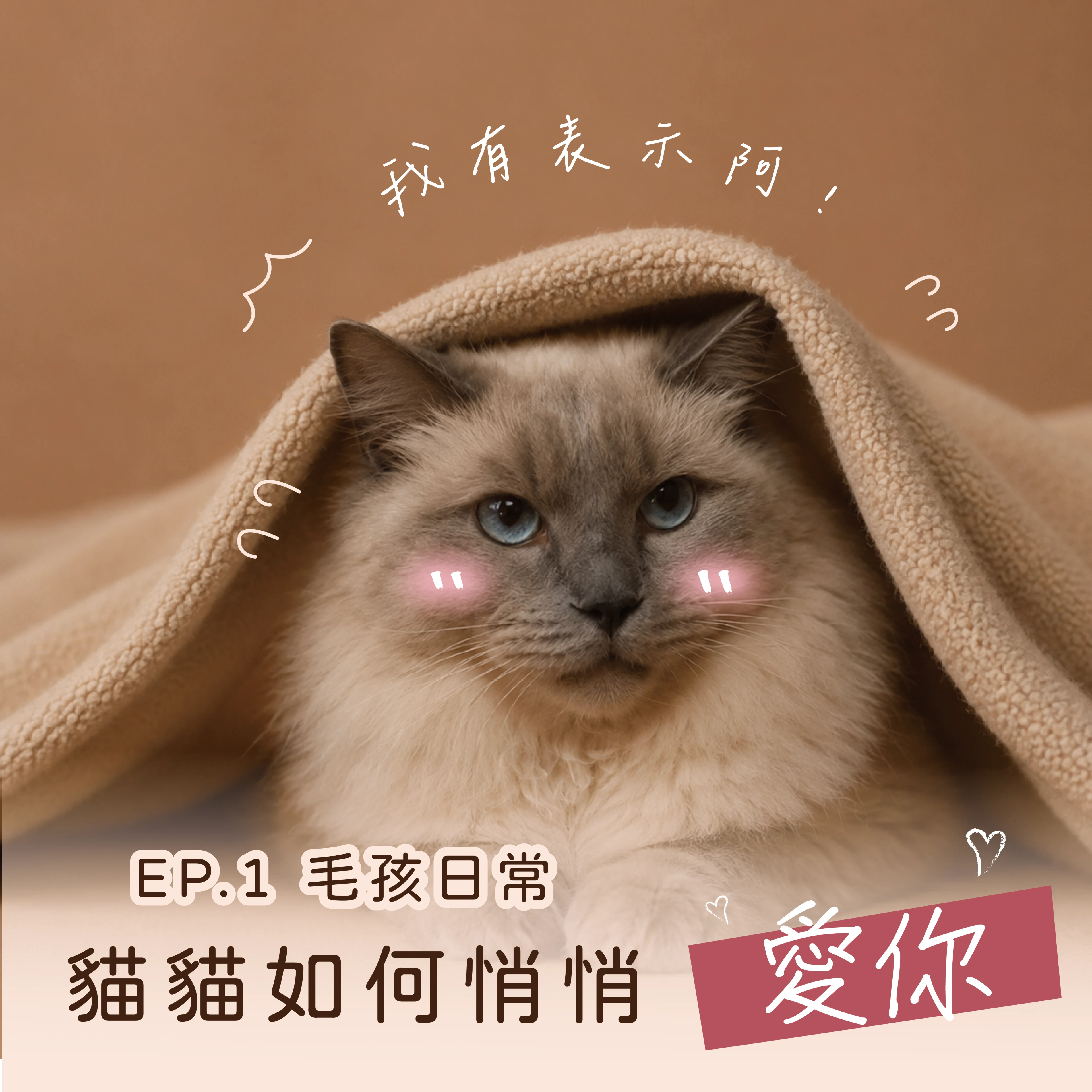 貓咪不是高冷，只是表達方式不同