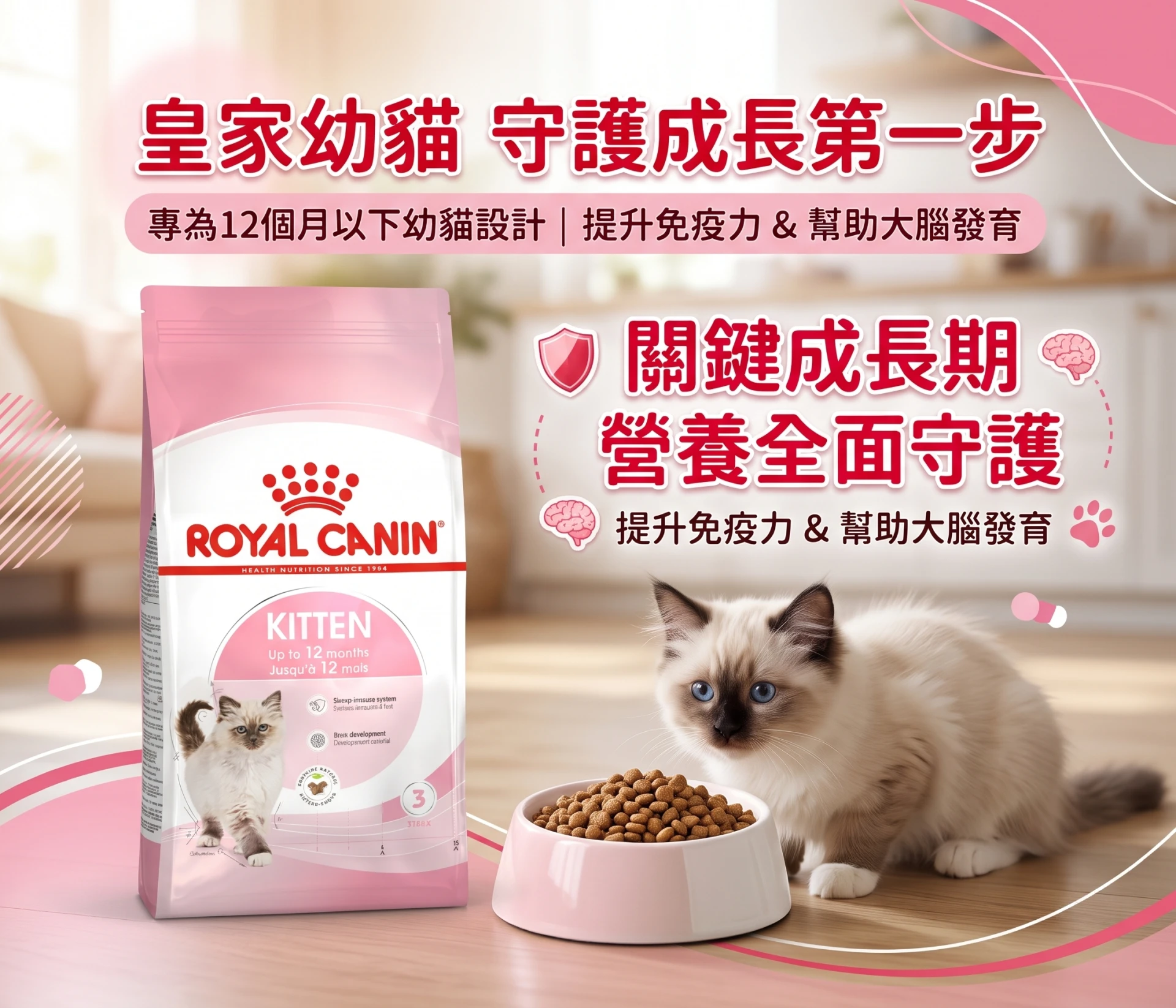 【法國皇家 ROYAL CANIN】FHN 幼貓專用乾糧 K36（2kg / 4kg / 13kg）｜4-12個月適用・免疫力與消化平衡配方