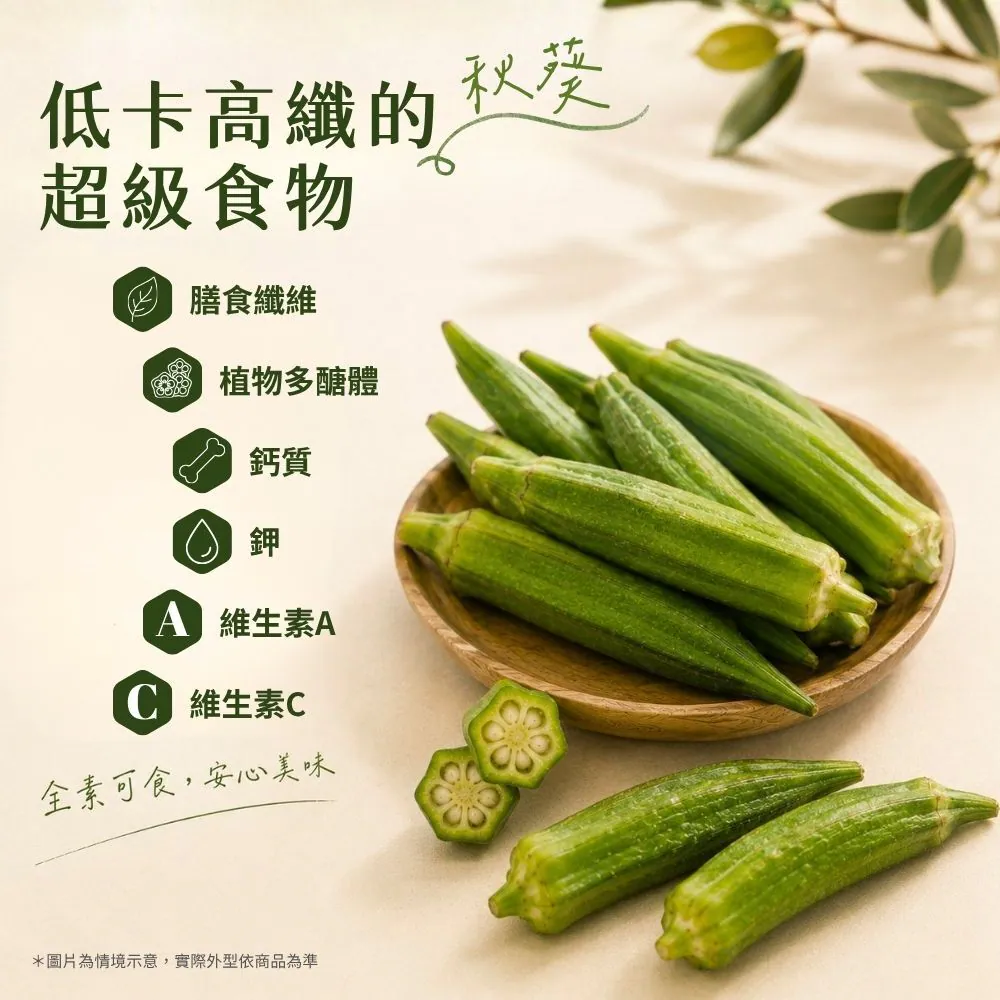 5666_6ad8c4e6977df.webp