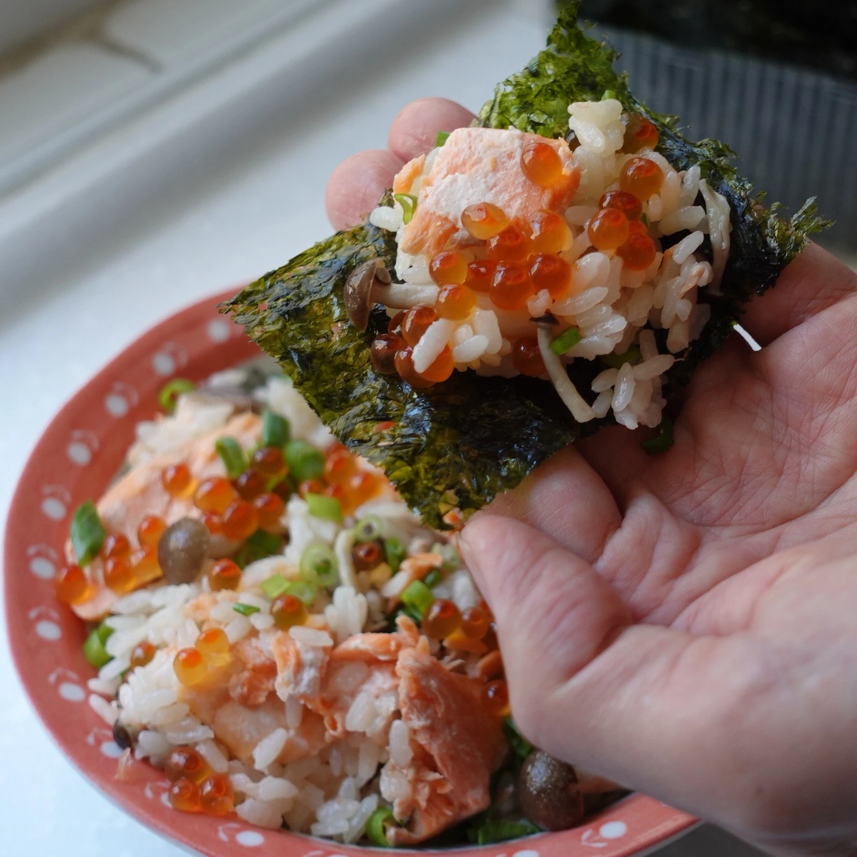 日本北海道鮭魚卵