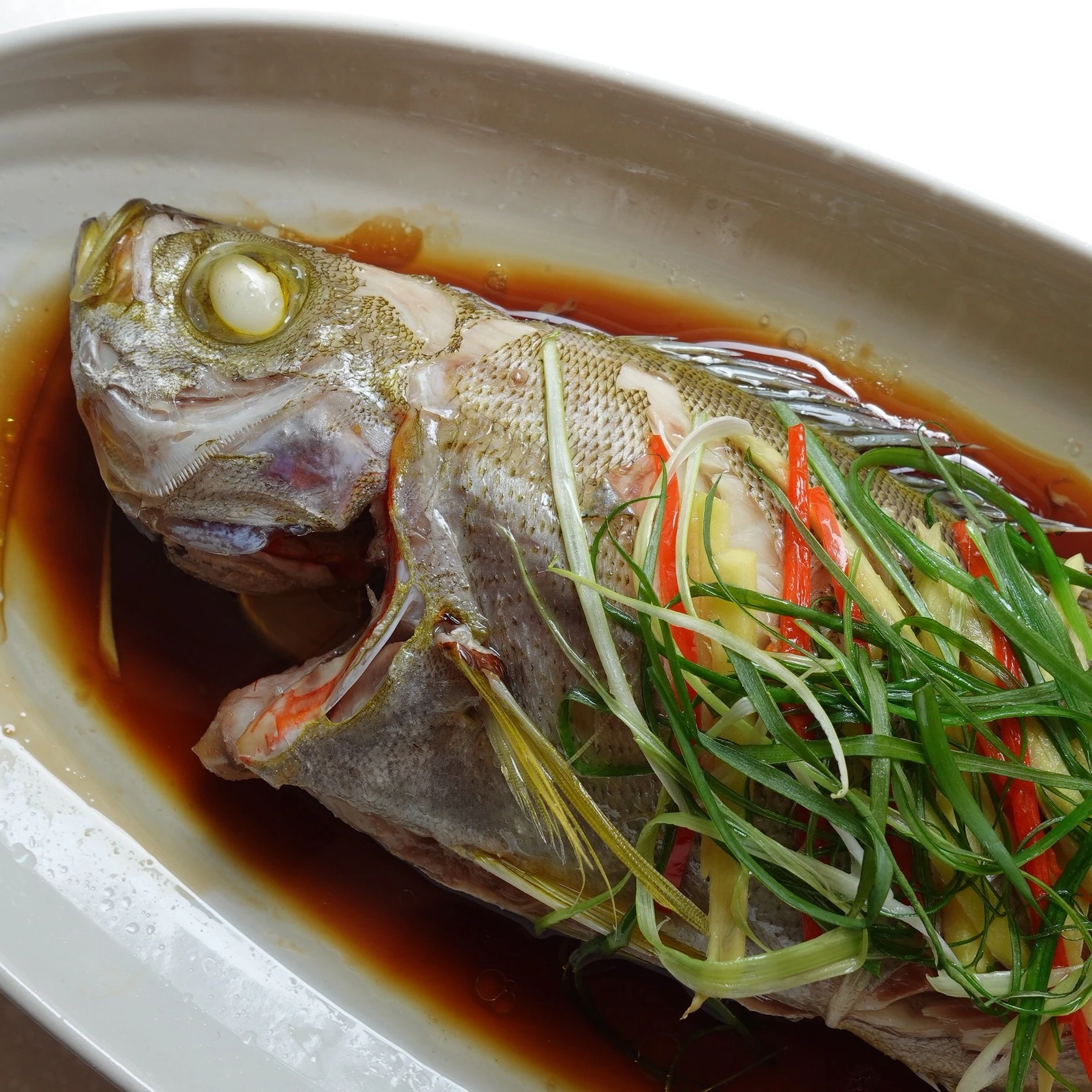 澎湖黃雞魚