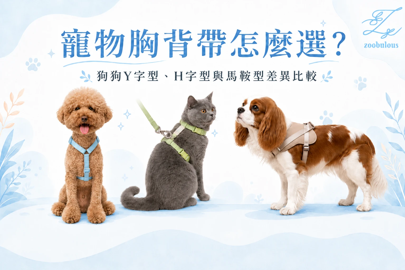 寵物胸背帶怎麼選？Y字型、H字型與馬鞍型差異比較。
