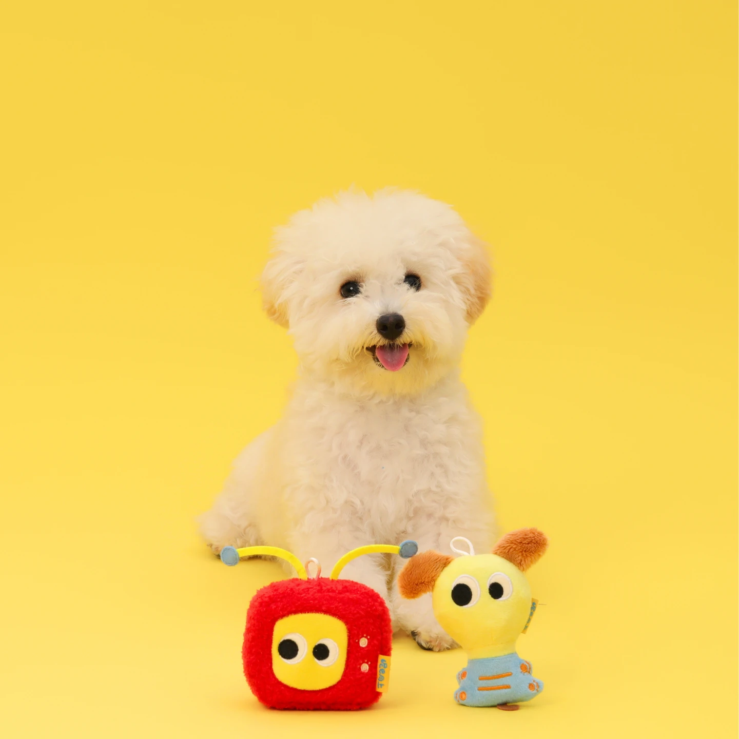 小型犬發聲玩具｜尾巴向上對你來電｜TV狗／亮狗