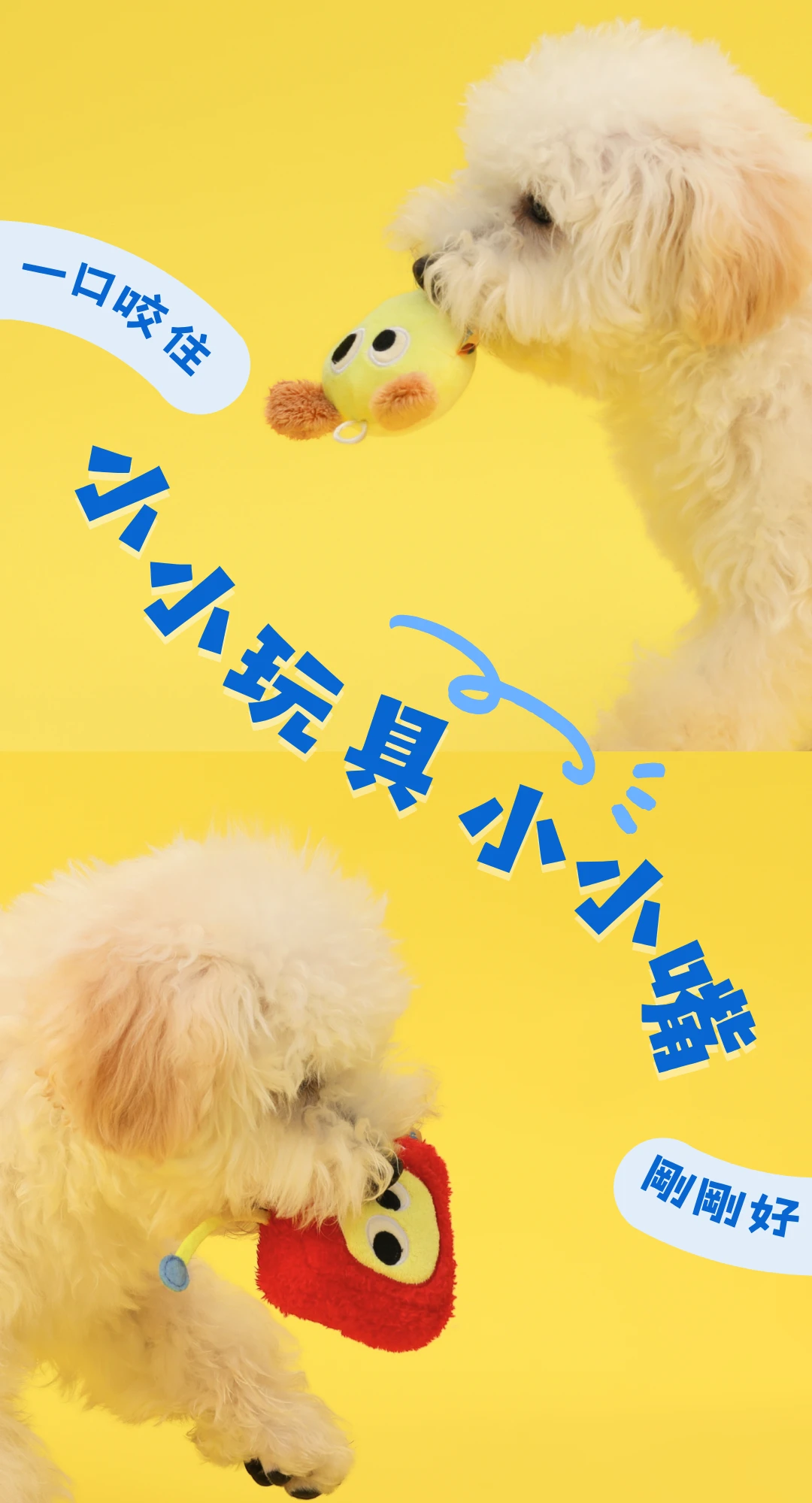小型犬咬取尾巴向上TV狗與亮狗迷你毛絨玩具情境