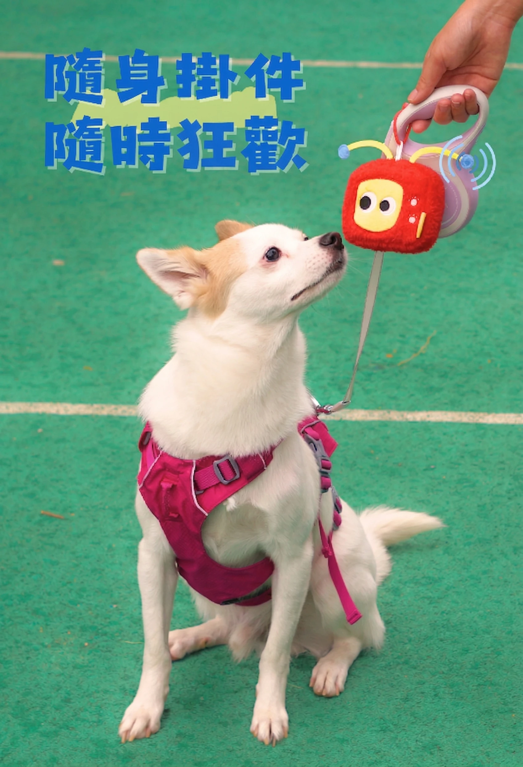 TV狗毛絨玩具吊掛於寵物牽繩握把外出攜帶情境