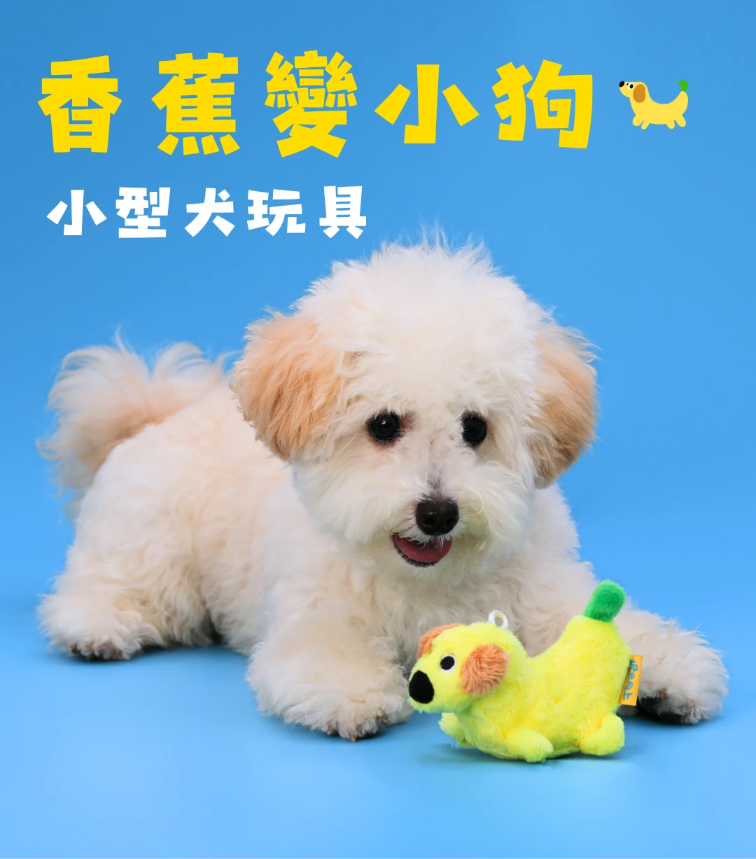 尾巴向上香蕉變小狗小型犬毛絨發聲玩具與狗狗玩耍展示