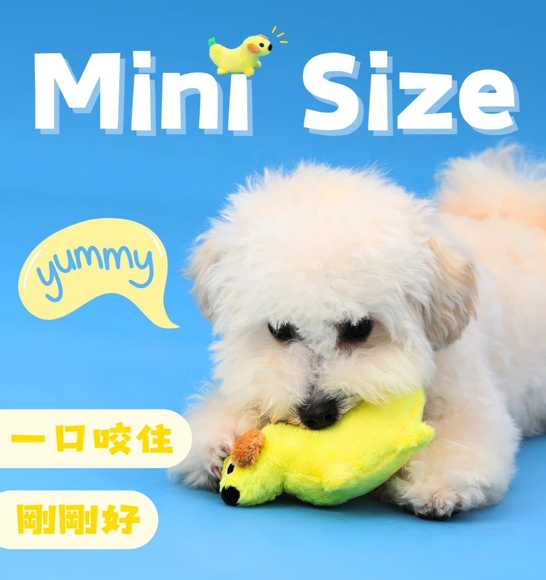 小型犬咬取尾巴向上香蕉變小狗迷你毛絨玩具情境