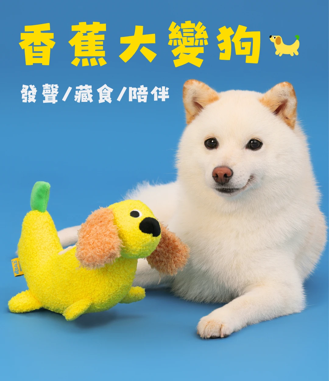 尾巴向上香蕉大變狗藏食發聲玩具與狗狗陪伴情境