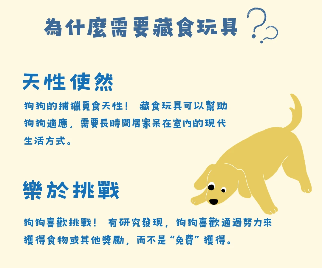 狗狗藏食玩具嗅聞找食與日常互動玩法介紹
