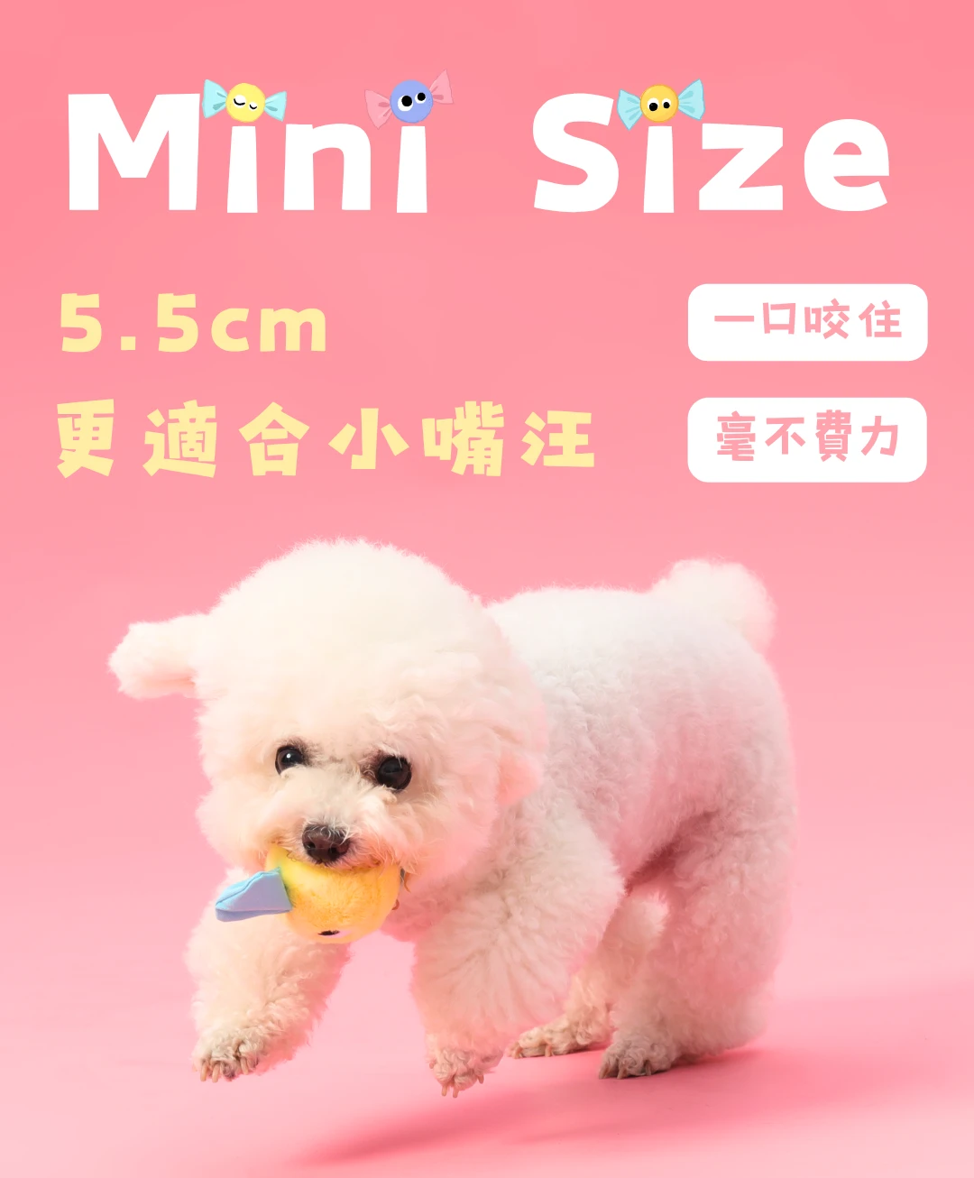 尾巴向上小糖狗5點5公分中央迷你尺寸適合小型犬嘴型咬取