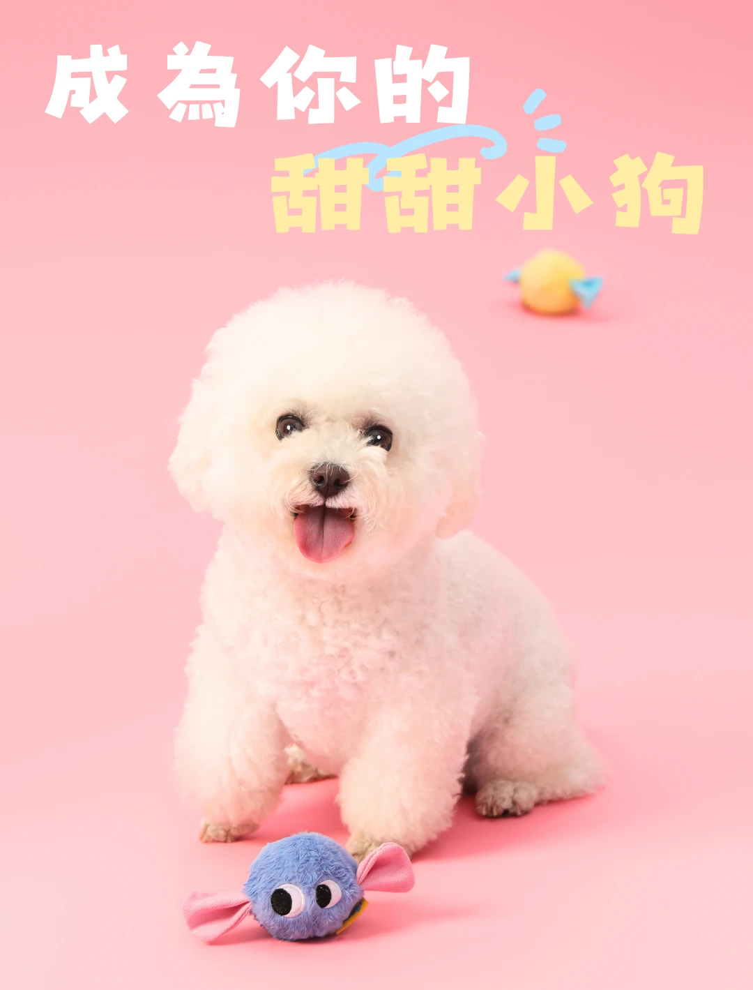 小型犬與尾巴向上藍色小糖狗糖果造型玩具陪伴情境