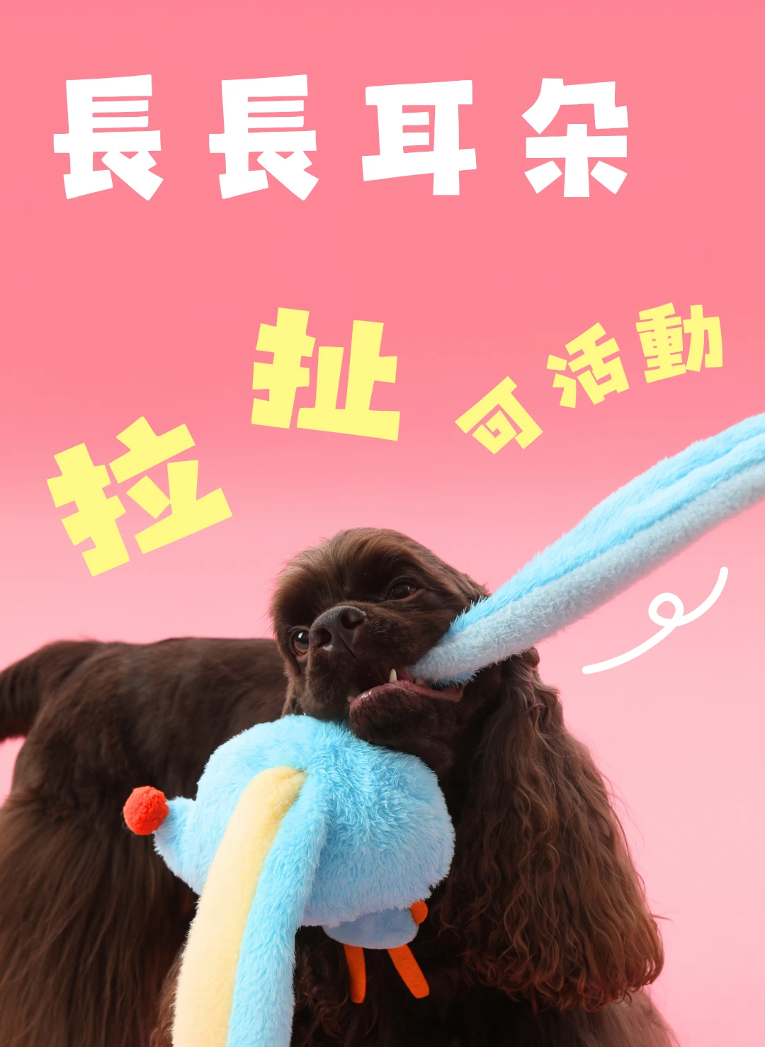 北極兔長耳狗狗拔河玩具主人與狗狗抓握拉扯互動