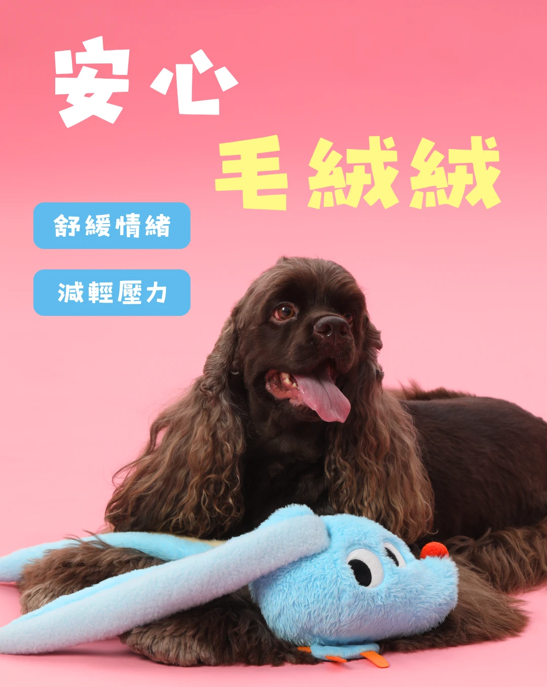 尾巴向上北極兔柔軟藍色毛絨布面與狗狗陪伴情境