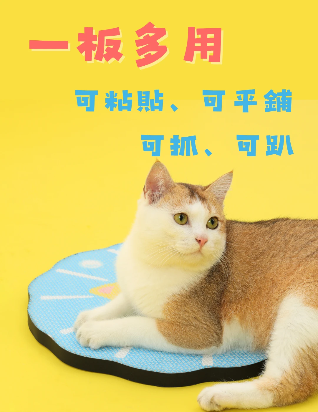貓咪使用章魚喵瓦楞紙貓抓板平鋪抓磨趴臥與魔鬼氈固定多種方式