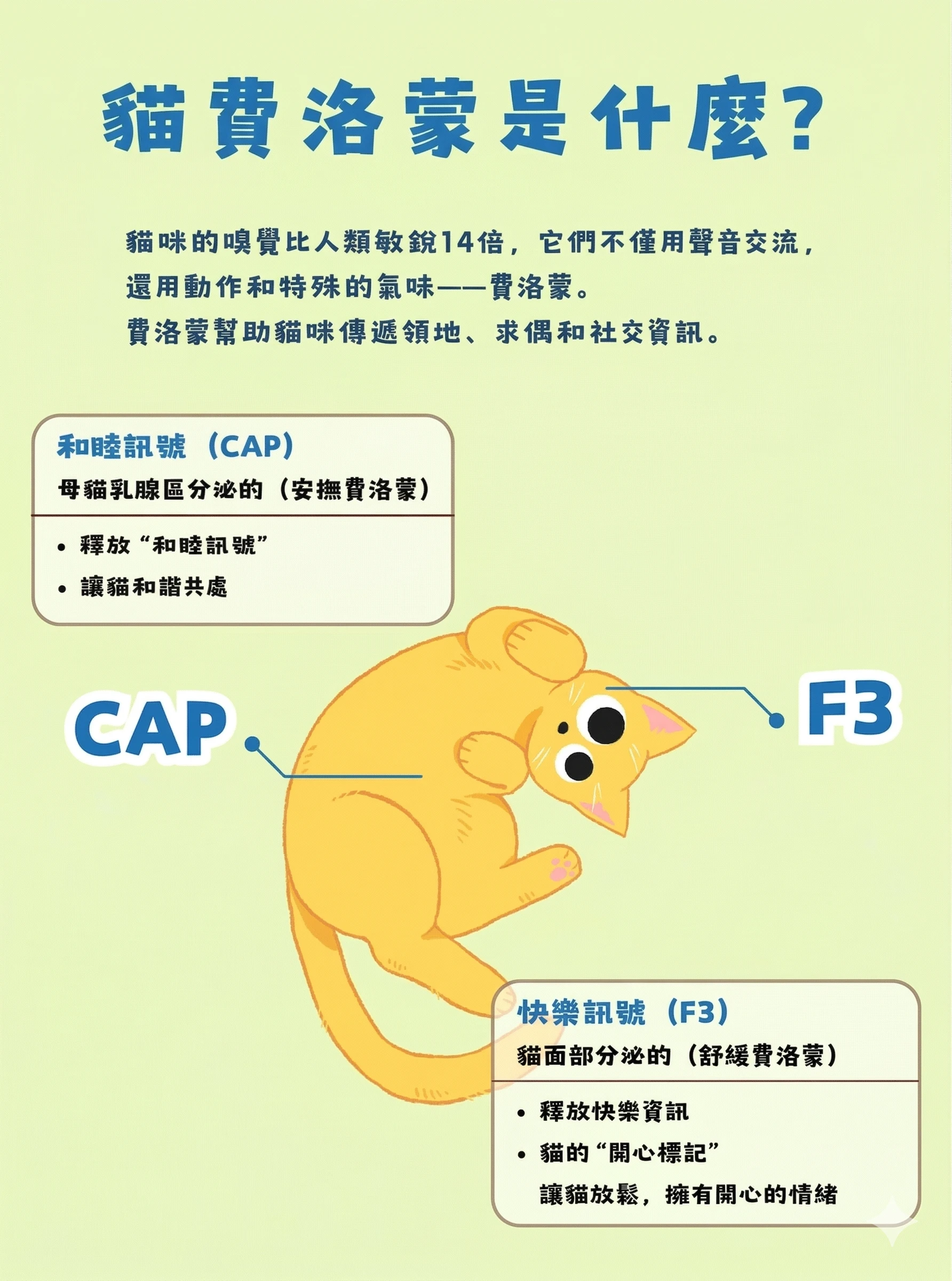 貓咪F3與CAP兩種費洛蒙訊號作用概念說明