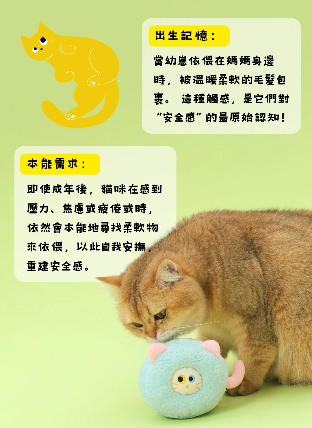 貓咪依靠柔軟物品與費洛蒙安撫玩偶的陪伴情境