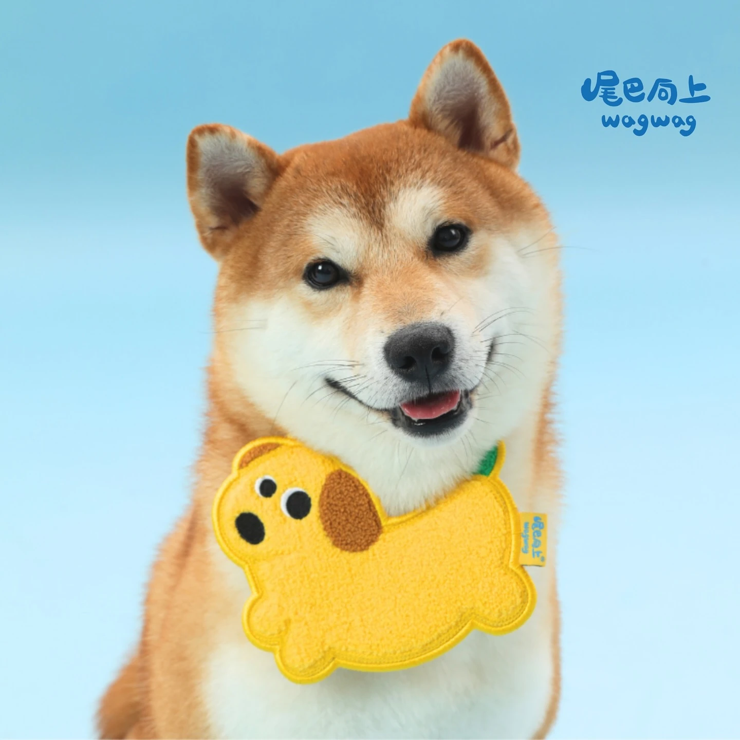尾巴向上香蕉狗黃色狗狗口水巾柴犬寵物圍兜穿搭示意