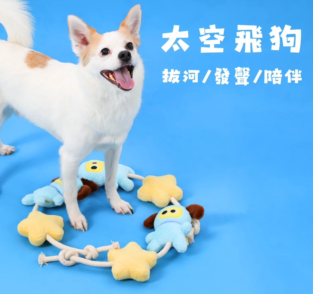 尾巴向上太空飛狗狗狗拔河發聲玩具與小型犬互動展示