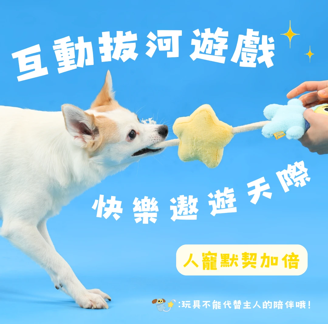 主人與狗狗使用尾巴向上太空飛狗進行互動拔河拉扯遊戲