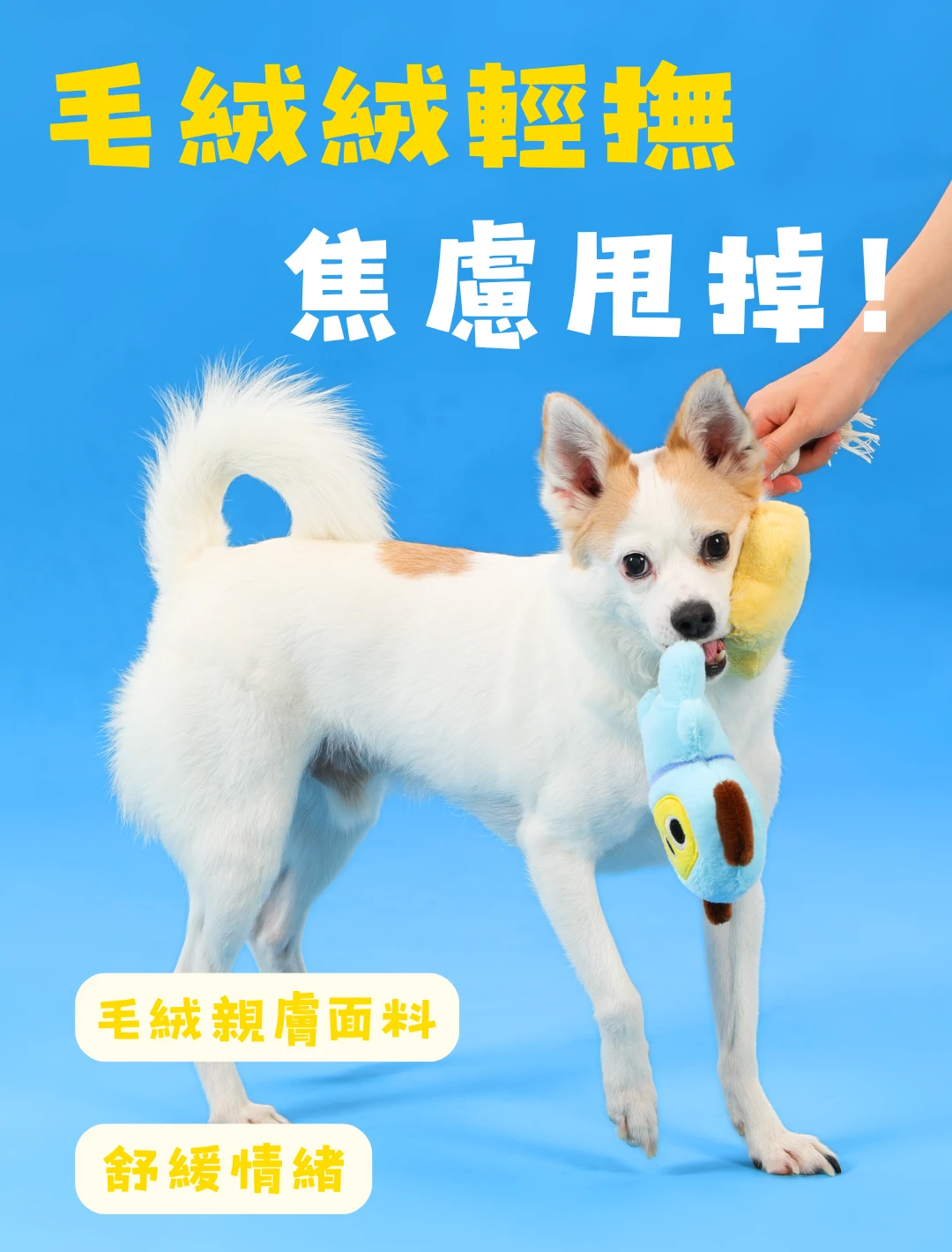 尾巴向上太空飛狗柔軟毛絨布面與狗狗咬取玩耍情境