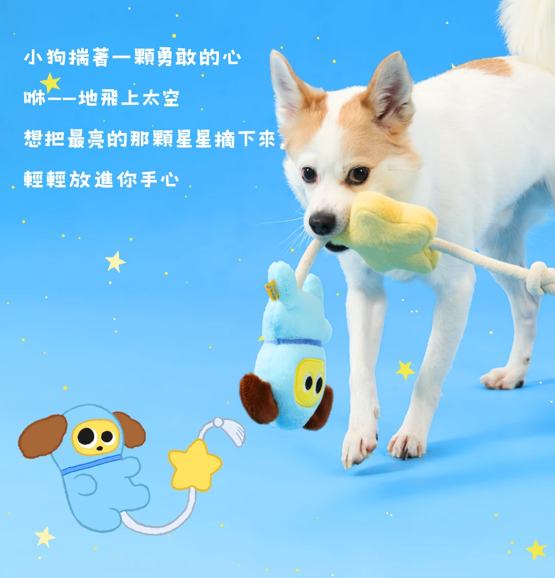 尾巴向上太空飛狗星星長繩玩具與狗狗陪伴情境