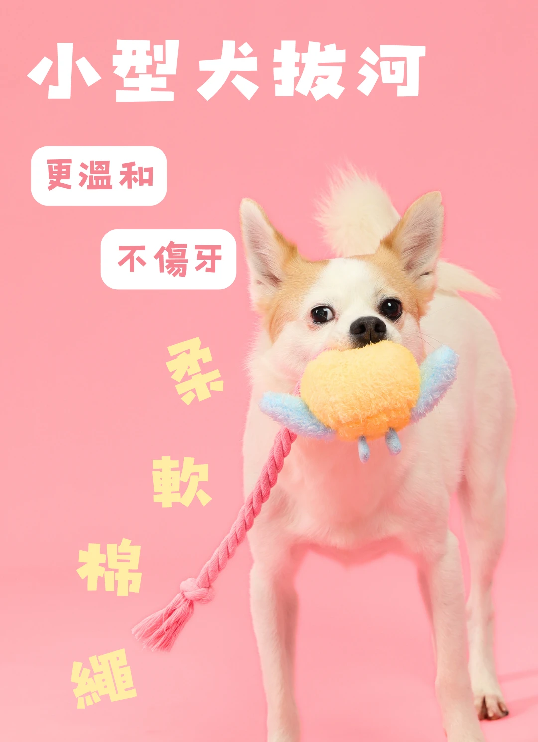 小型犬啃咬尾巴向上小狗充電器柔軟繩結拔河玩具