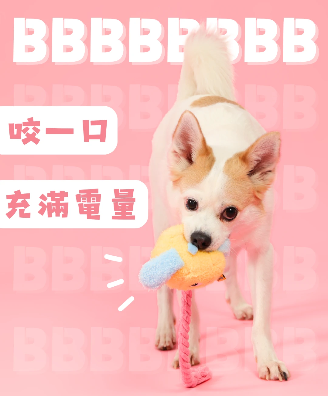 狗狗啃咬小狗充電器毛絨發聲玩具情境