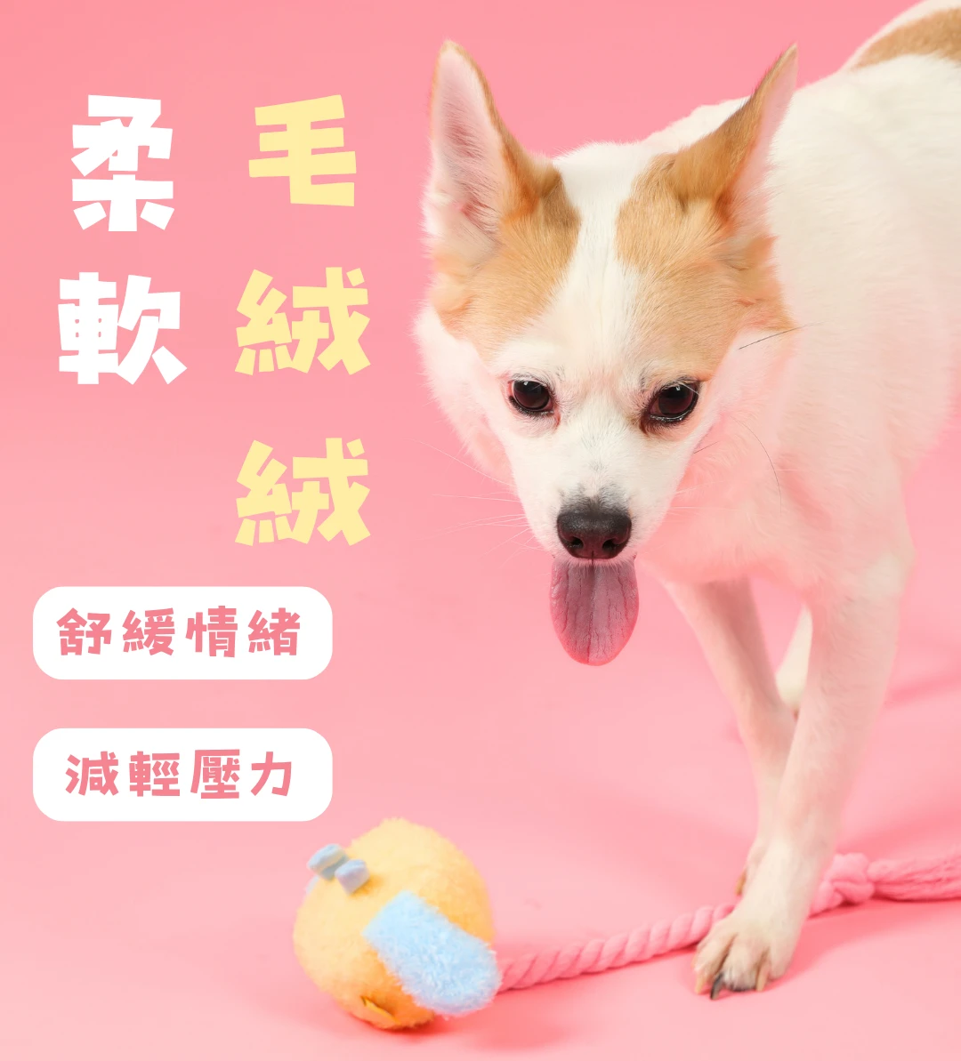 狗狗與柔軟毛絨小狗充電器玩具互動陪伴情境