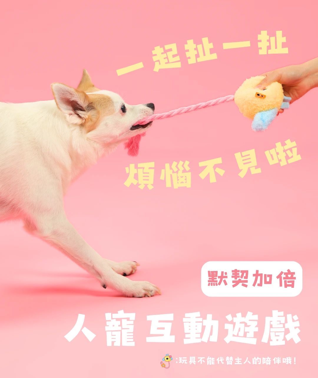 主人與狗狗使用小狗充電器玩具進行拔河互動遊戲