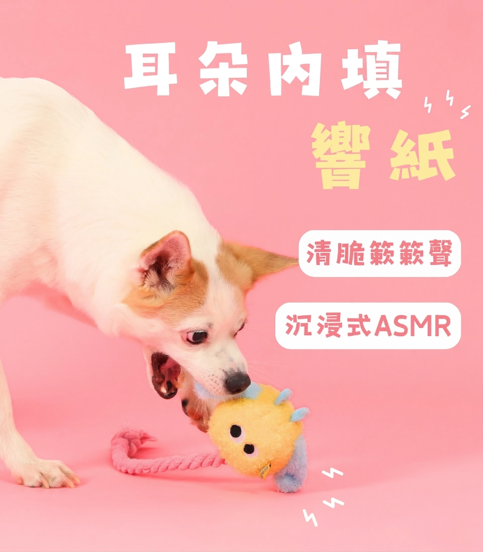 小狗充電器玩具耳朵內填響紙啃咬發出清脆聲響