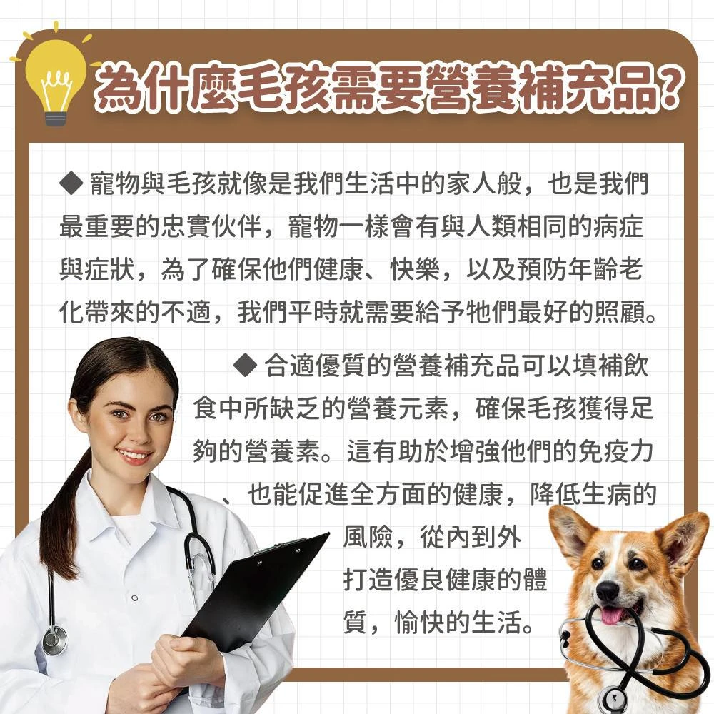 狗狗貓咪日常營養補充與健康照護重要性說明