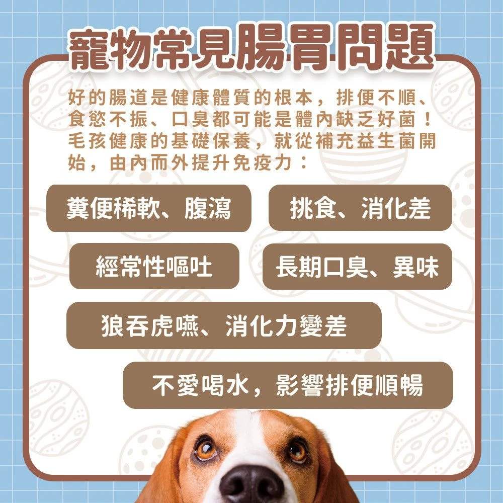 狗狗貓咪常見腸胃消化排便食慾與日常狀態觀察說明