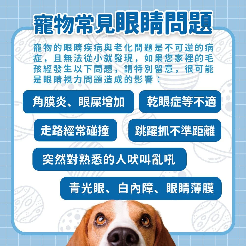 狗狗貓咪常見眼睛分泌物瞇眼碰撞跳躍與日常眼部狀態觀察