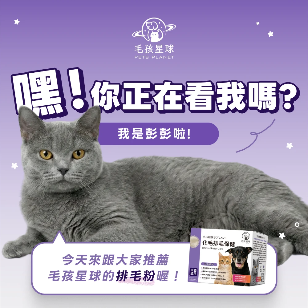 毛孩星球冥王星犬貓化毛排毛保健粉SP137益生菌1.5公克30包