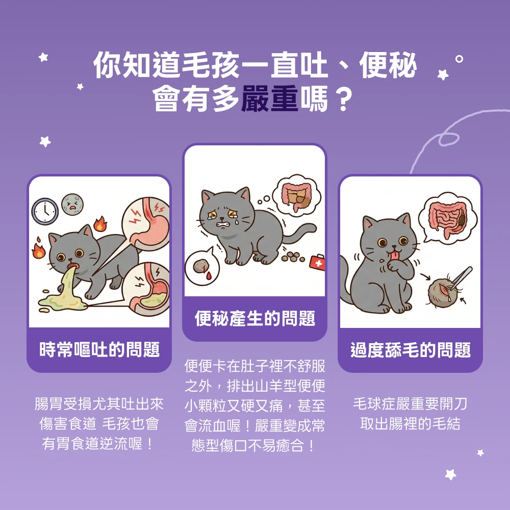 貓咪反覆嘔吐便秘過度舔毛與毛球相關日常觀察說明