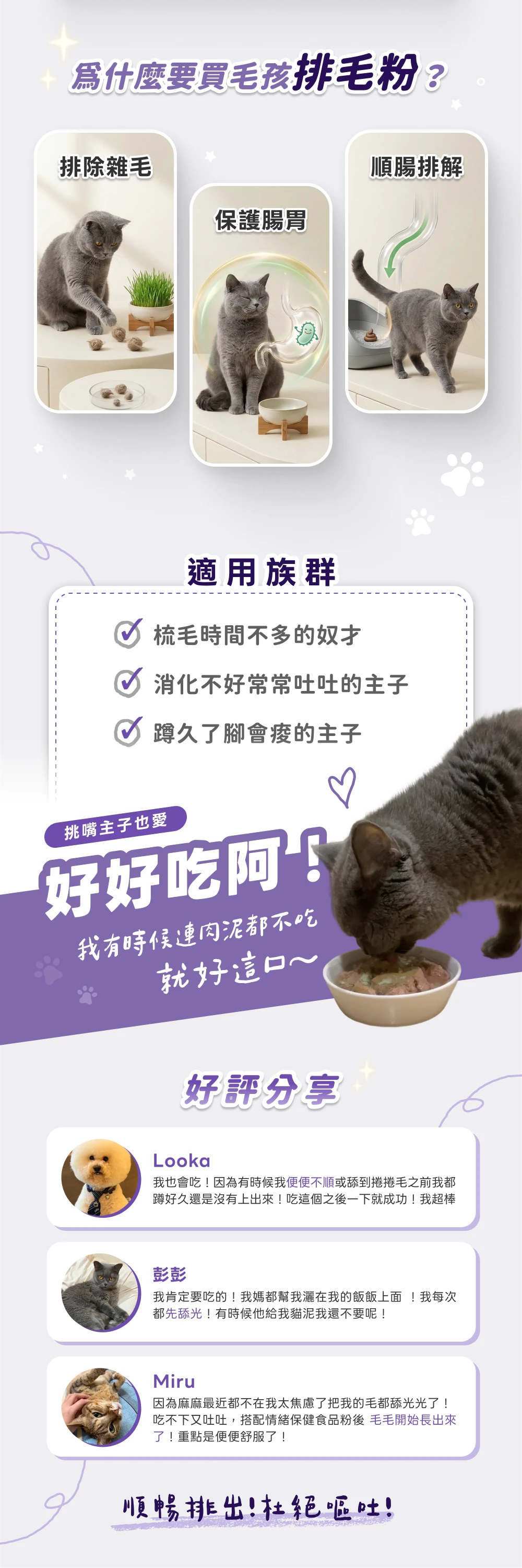 貓咪化毛排毛保健粉適用族群梳毛消化排便與使用者分享