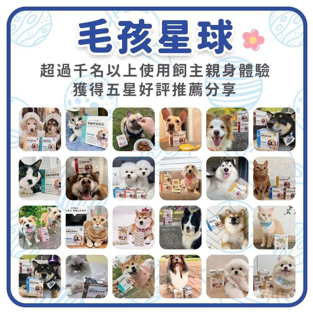 毛孩星球犬貓保健食品狗狗貓咪使用者分享與品牌介紹